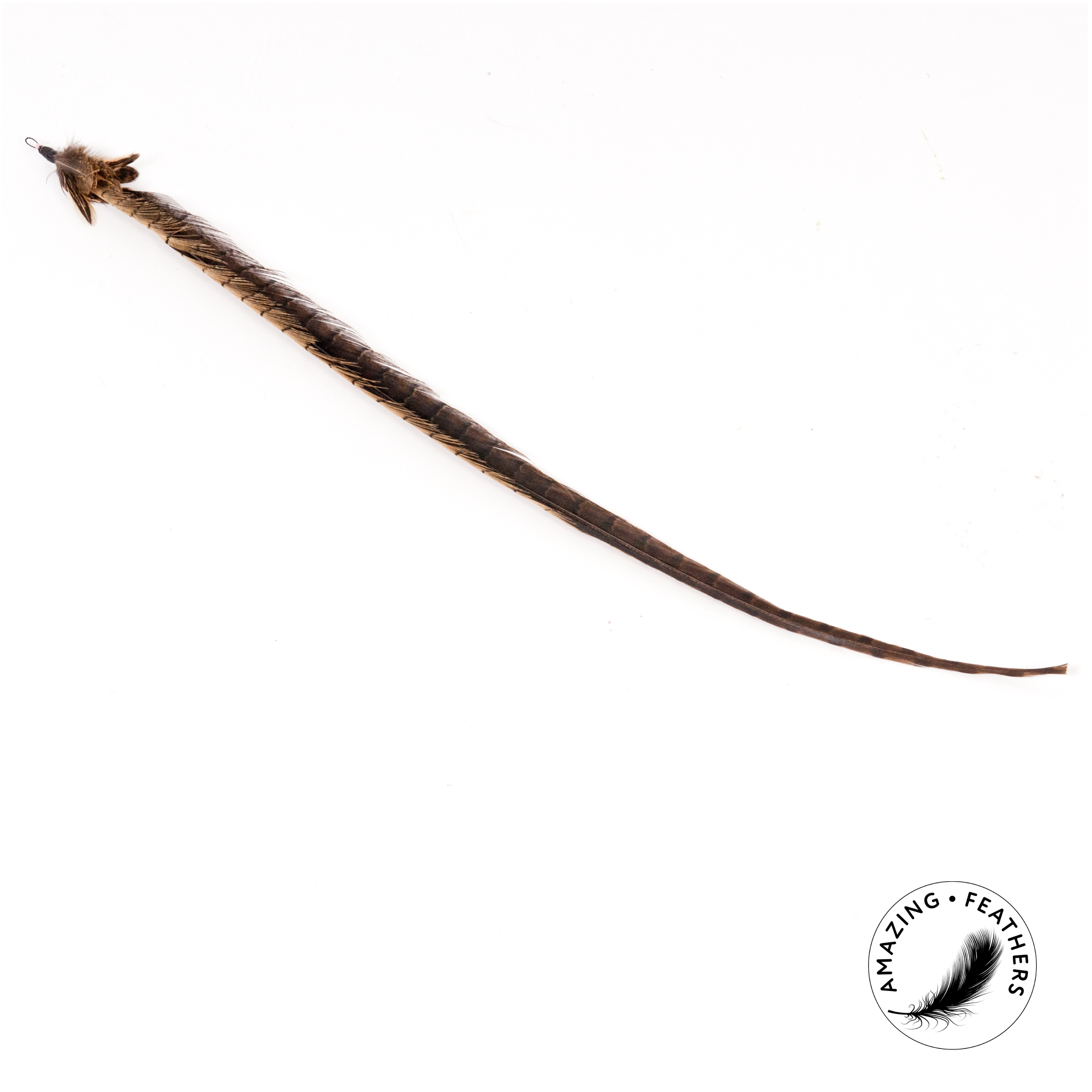 cat-toys-pheasant-longtail-refill-SSP194PL-1