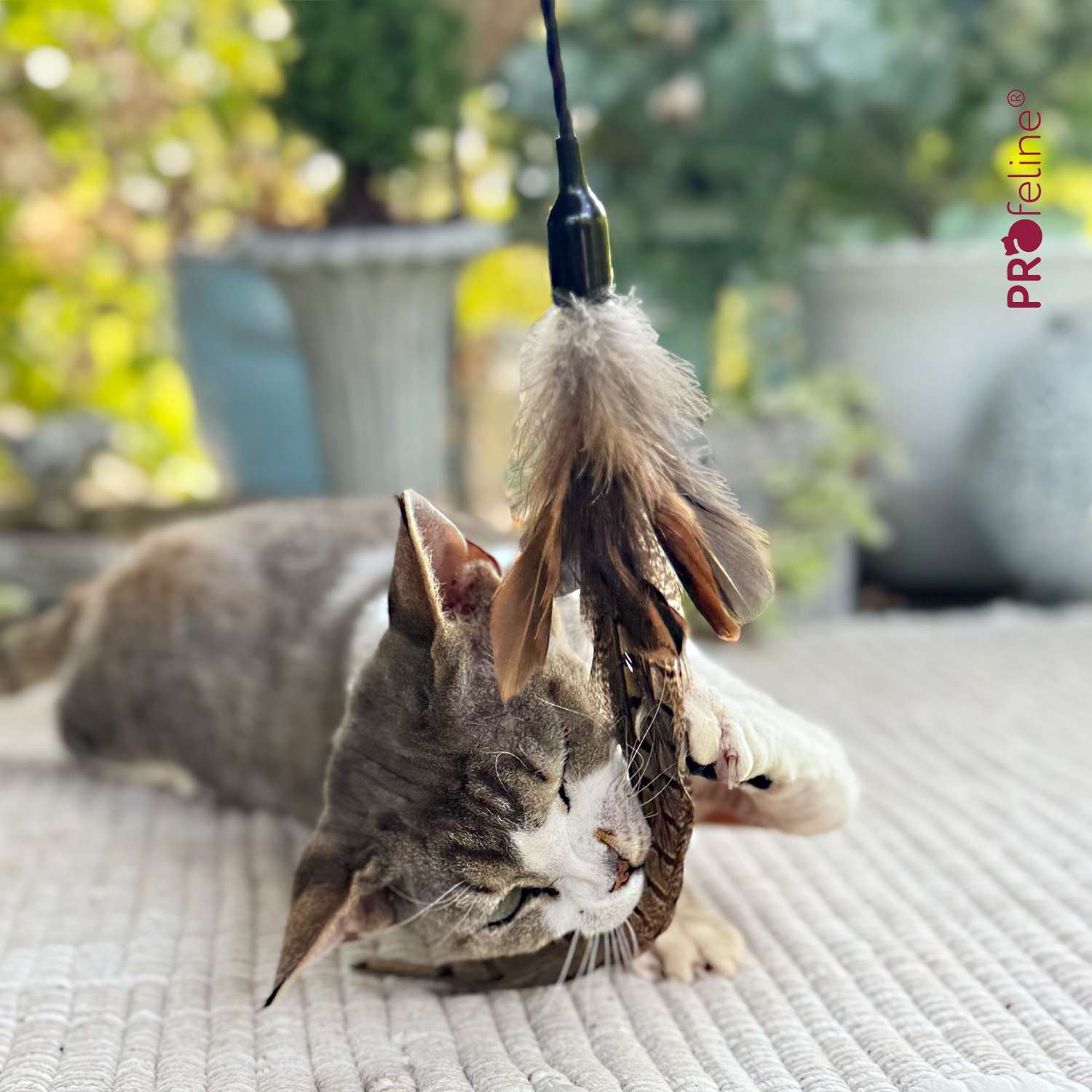 Profeline - Federwedel / Teaser Hunting Wild Katzen Federstab lange Feder Katzenshop