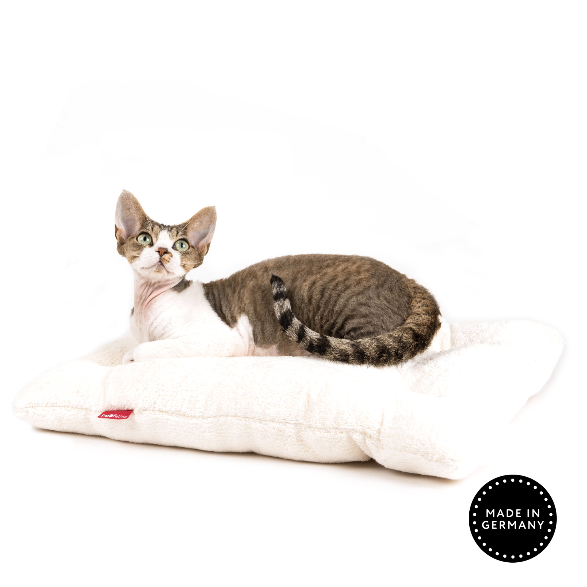 Cat Cushion 50 x 40 cm Katzenkissen Transporteinlage natur