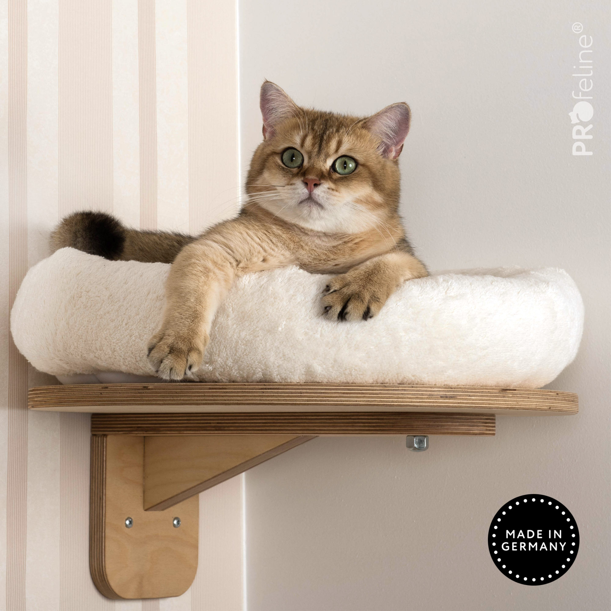 Wandhalterung mit Katzenbett