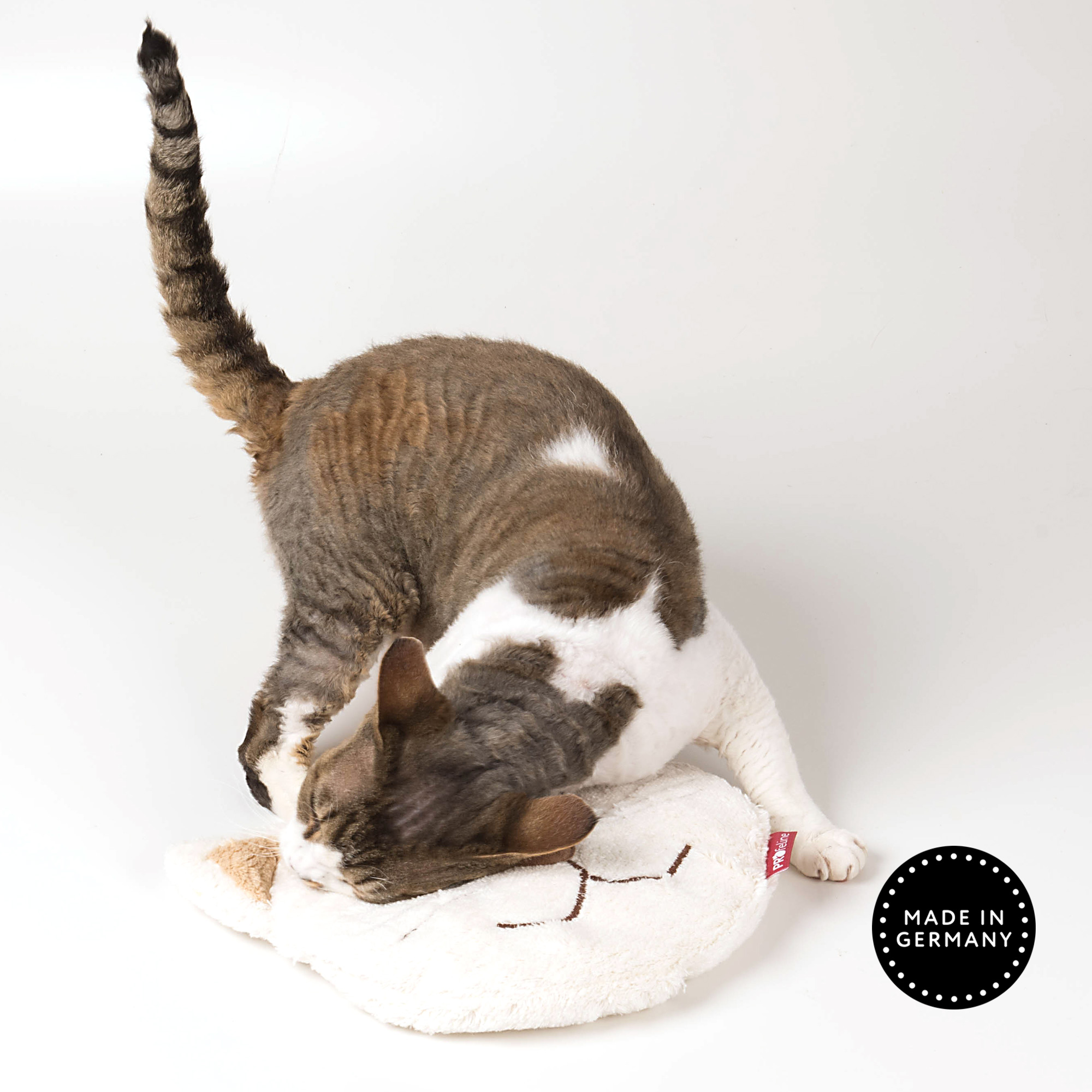 cat-heat-pillow-pauline-with-cat Heating Pillow / Wärmekissen Pauline
