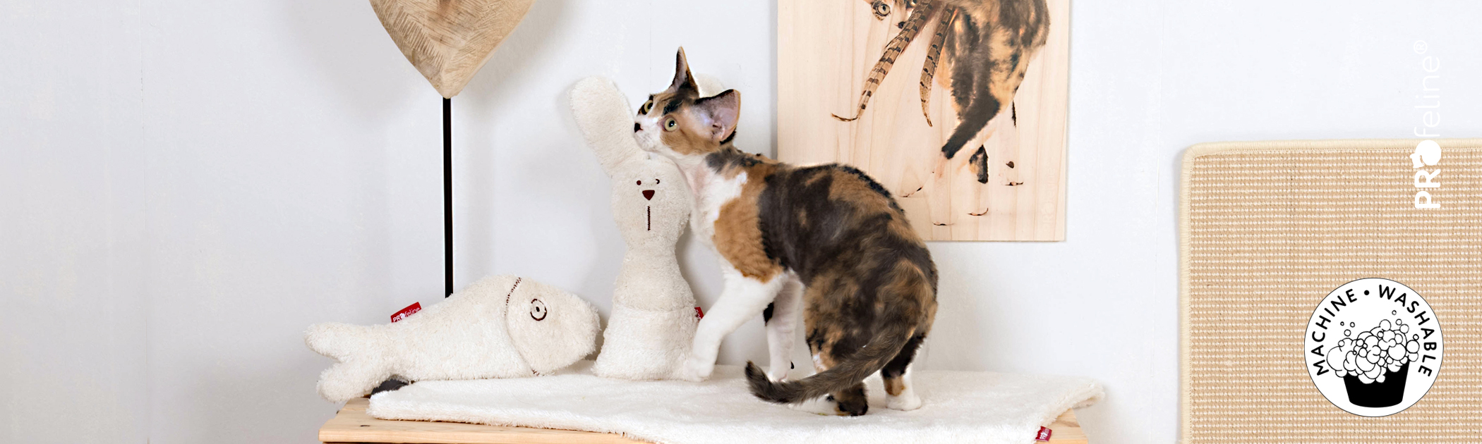 Katzenspielzeug Nachfüllbar waschbar