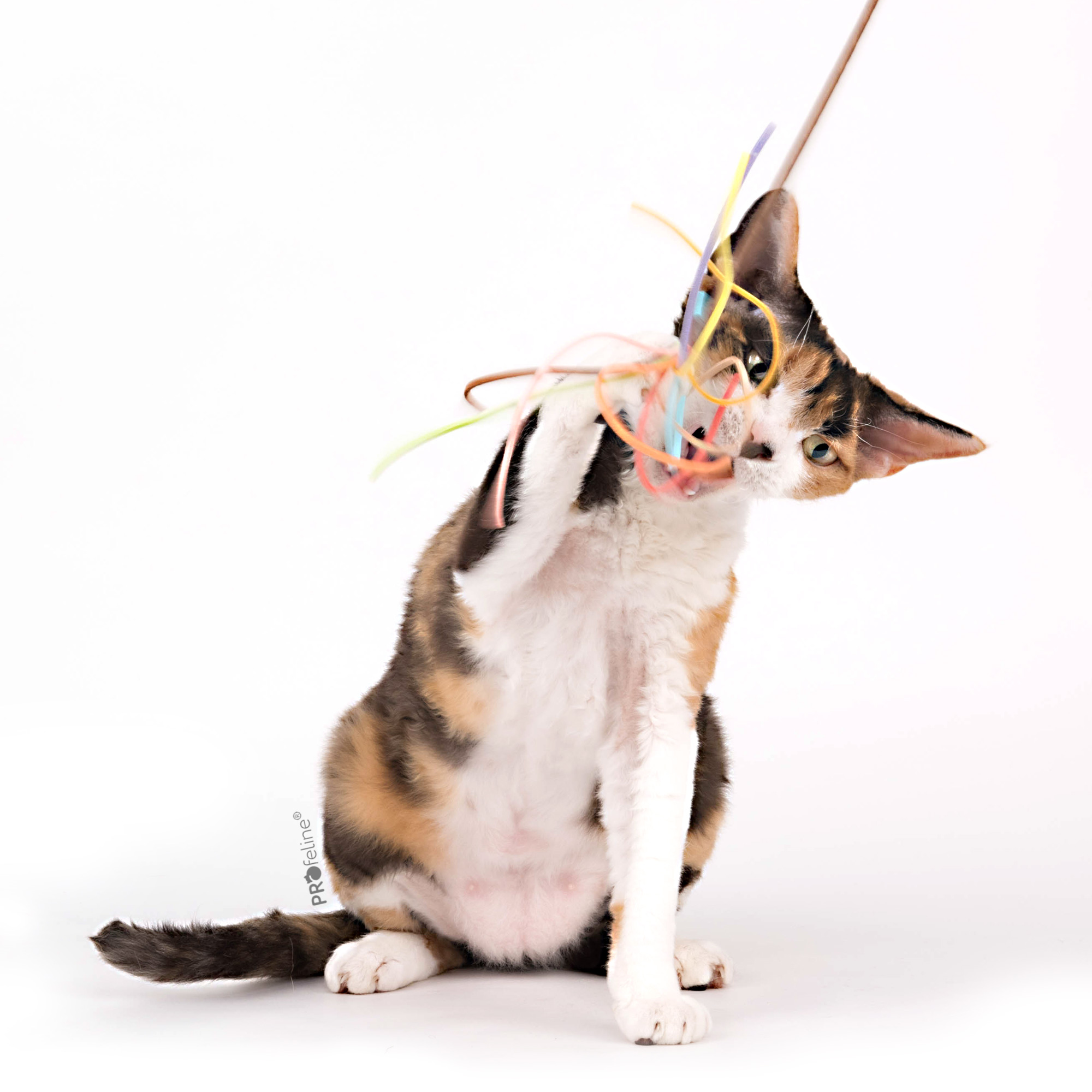 Katzenwedel / Cat Teaser Suede Tassel Katzenwedel Lederbänder