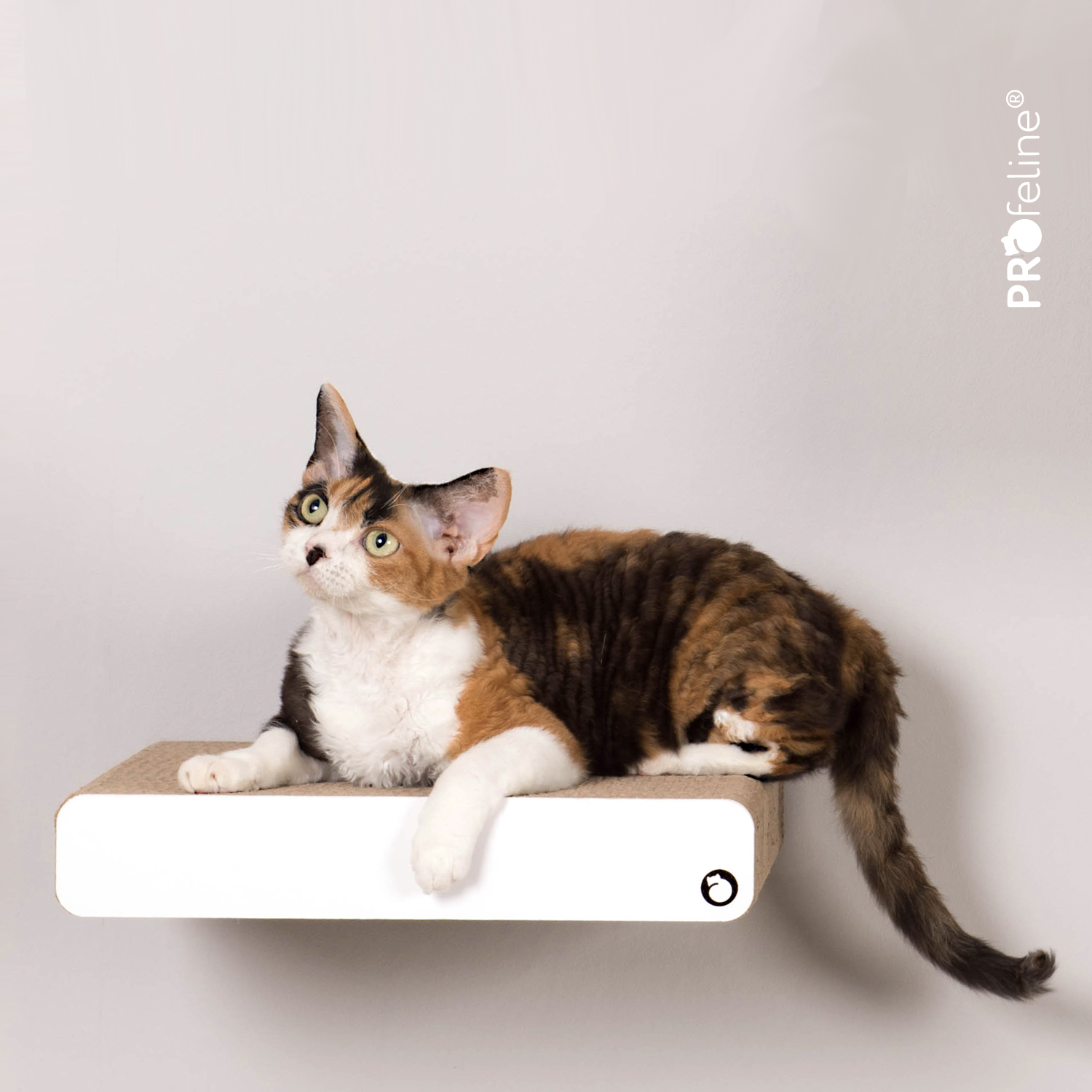 Katzen Treppenstufe für Kletterwand