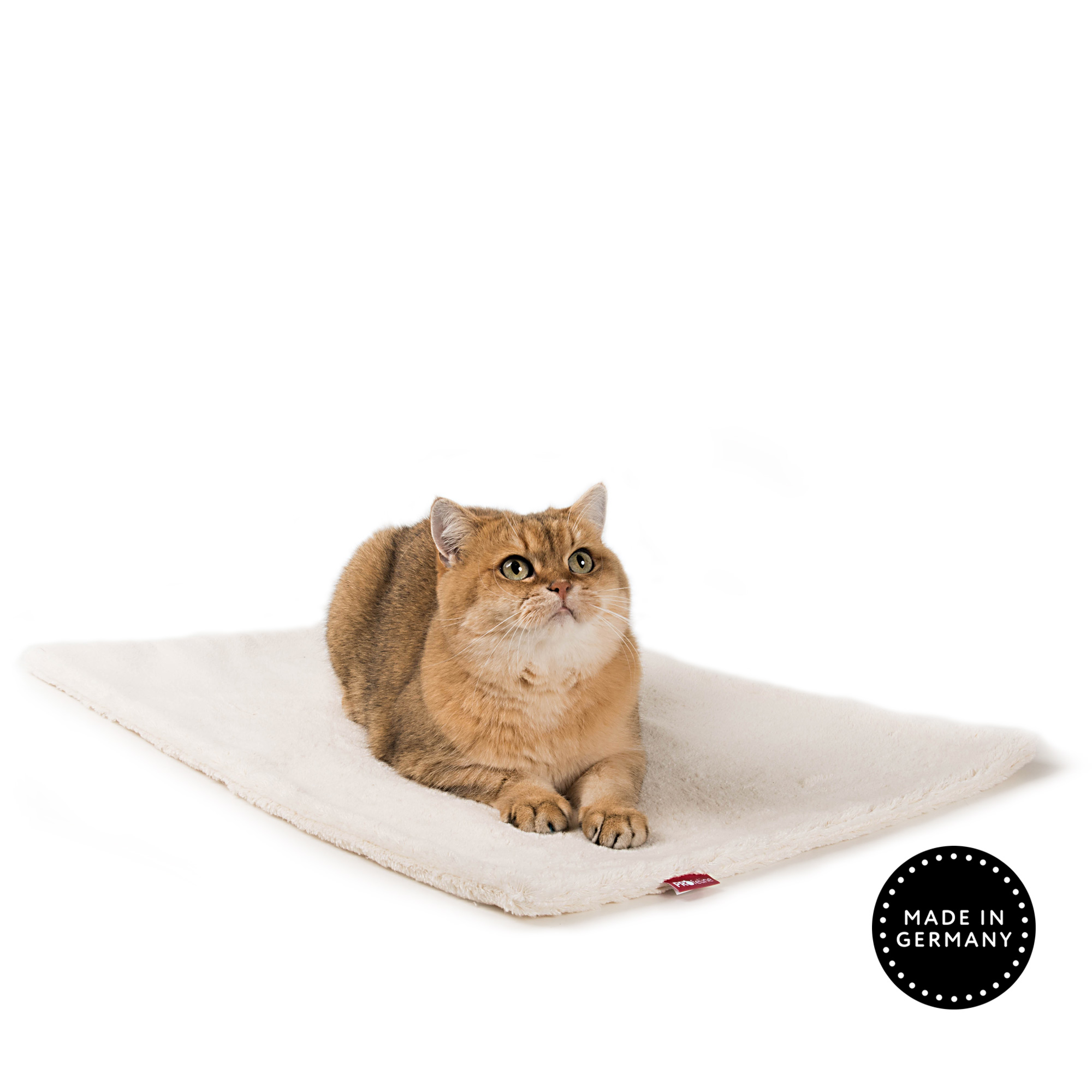 Cat blanket - Snuggle Cotton 65 x 50 cm Katzendecke Baumwolle 65x50cm
