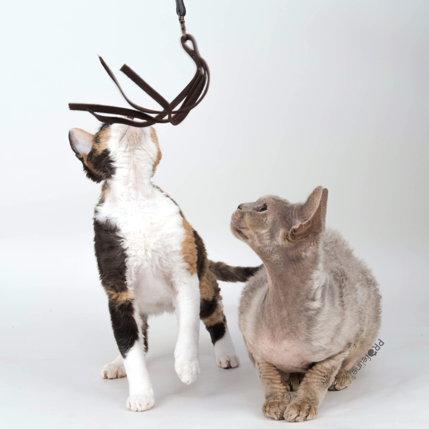 Swinging Leather Fringe Refill / Anhänger Lederfransen für Katzenangeln