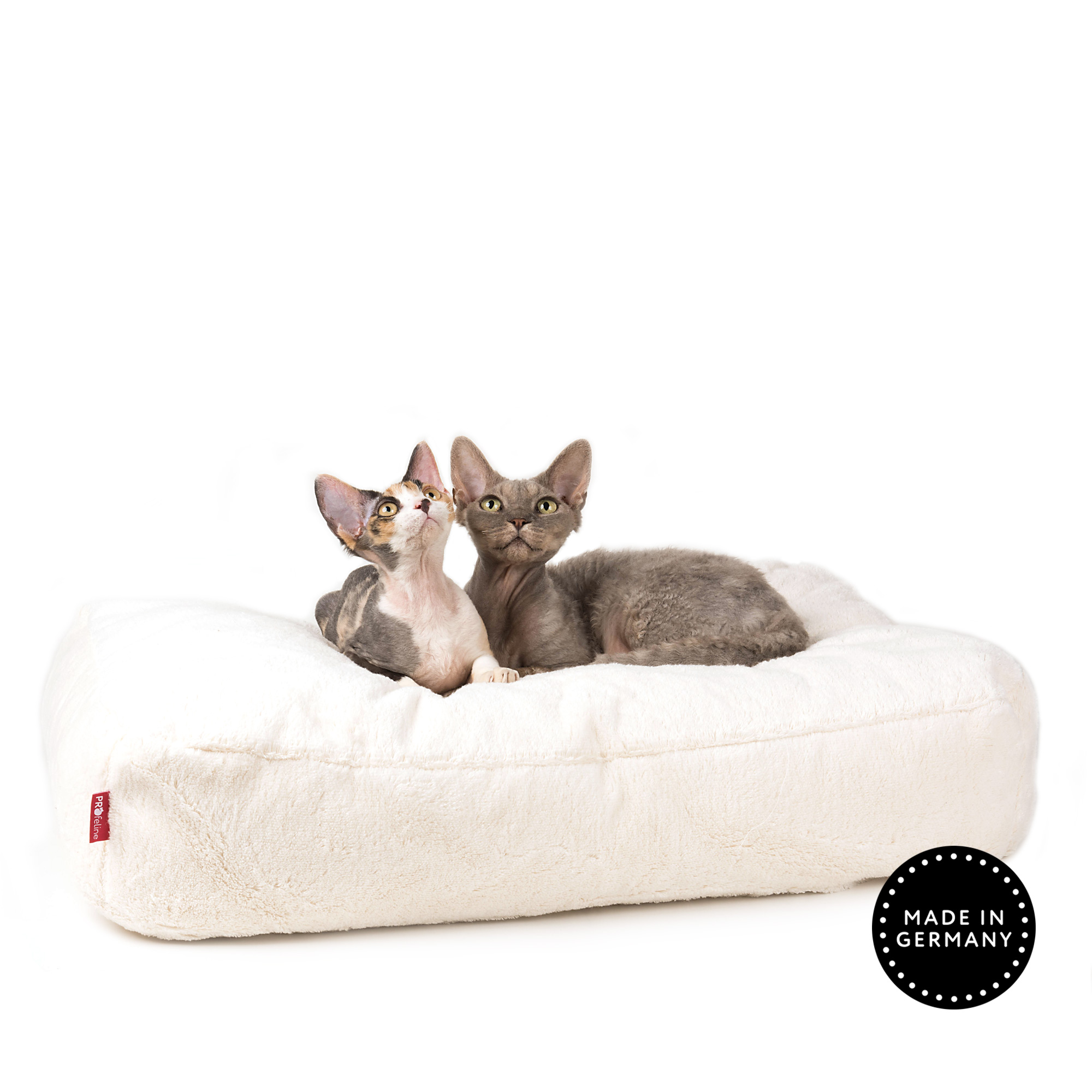 Cat Bed / Katzenbett FUTON Extra grosses Katzenbett