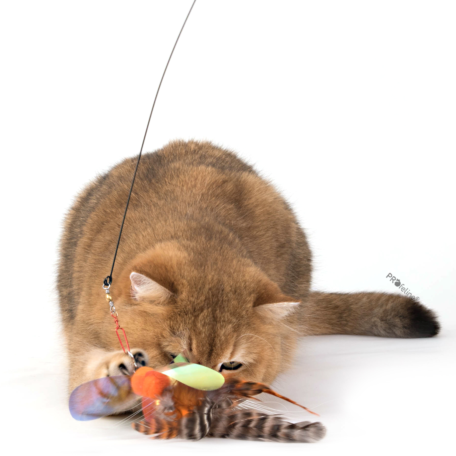 Aurora Fantasy Federanhänger Angeln