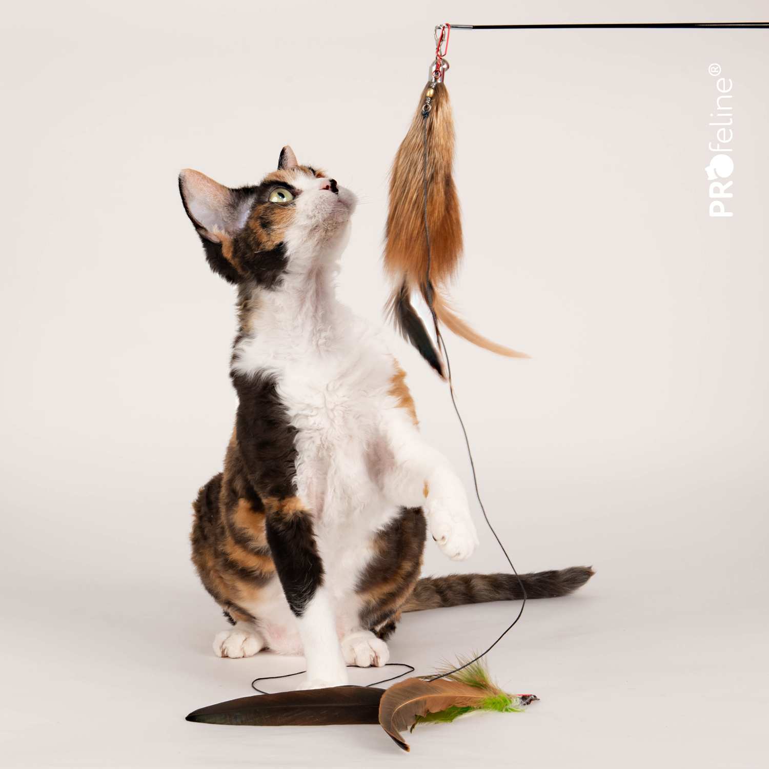 Lange Katzenangel XXL mit Wechselanhänger, Hochwertig und robust