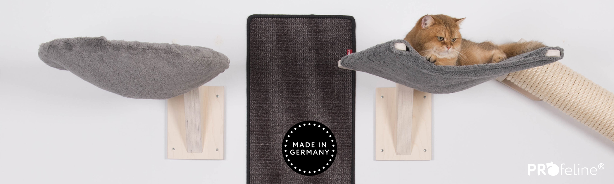 Katzen Wandliegeebenen Kletterwand