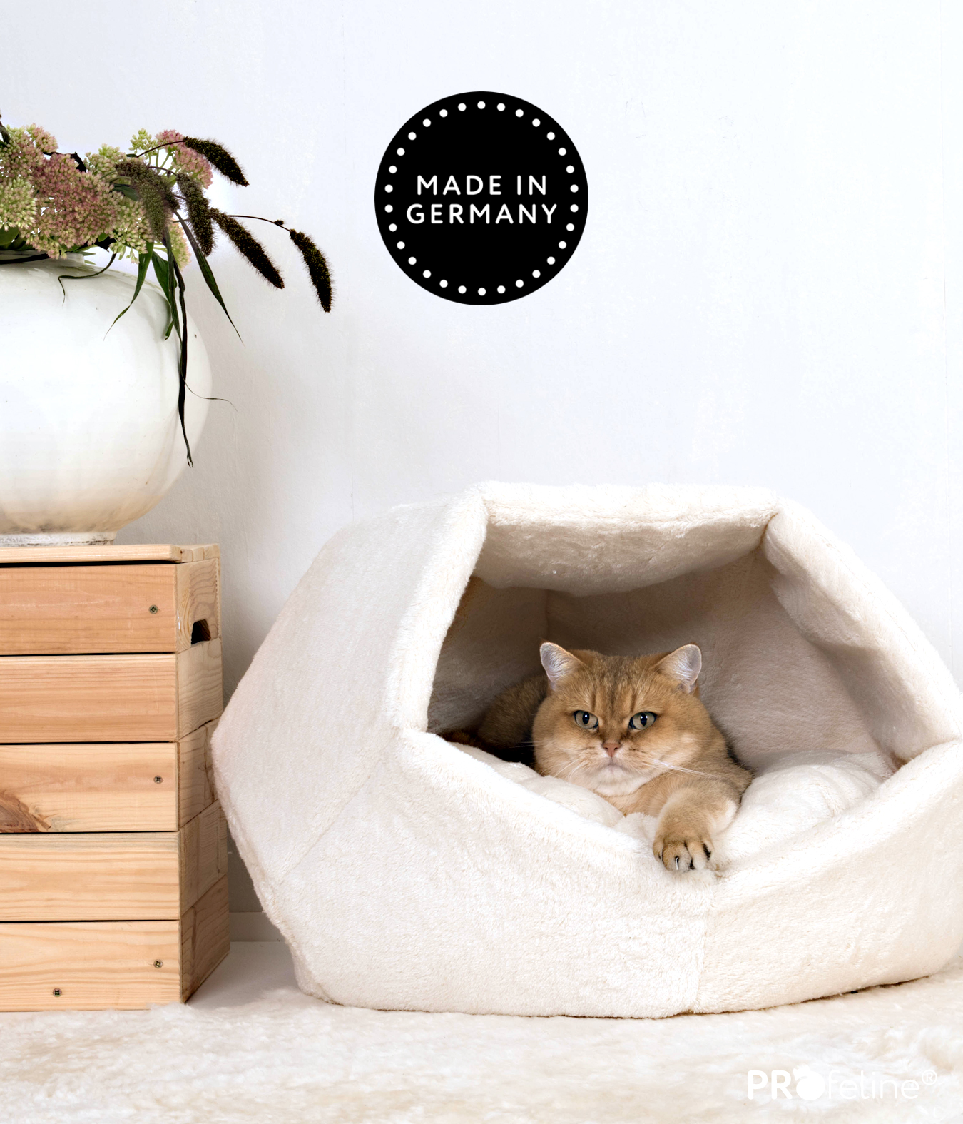 Grosse Katzenhöhle aus Baumwolle