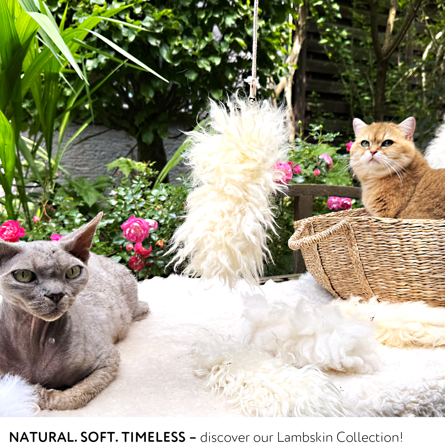 Naturally Lambskins for Cats