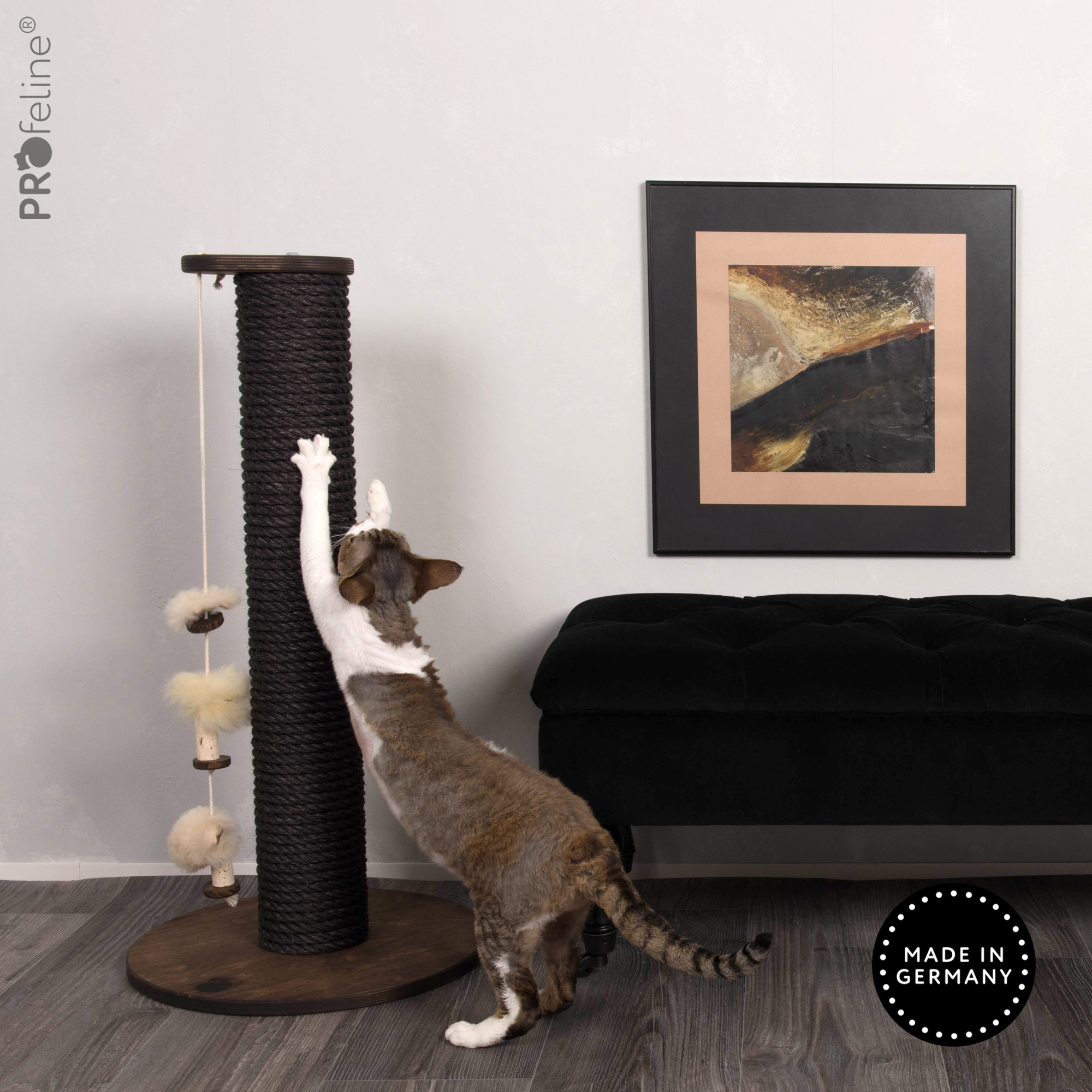 Kratzstamm Kitten schwarz