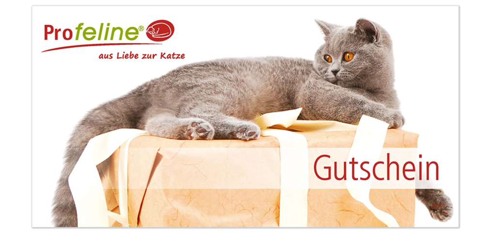 Katzen Gutschein zum verschenken