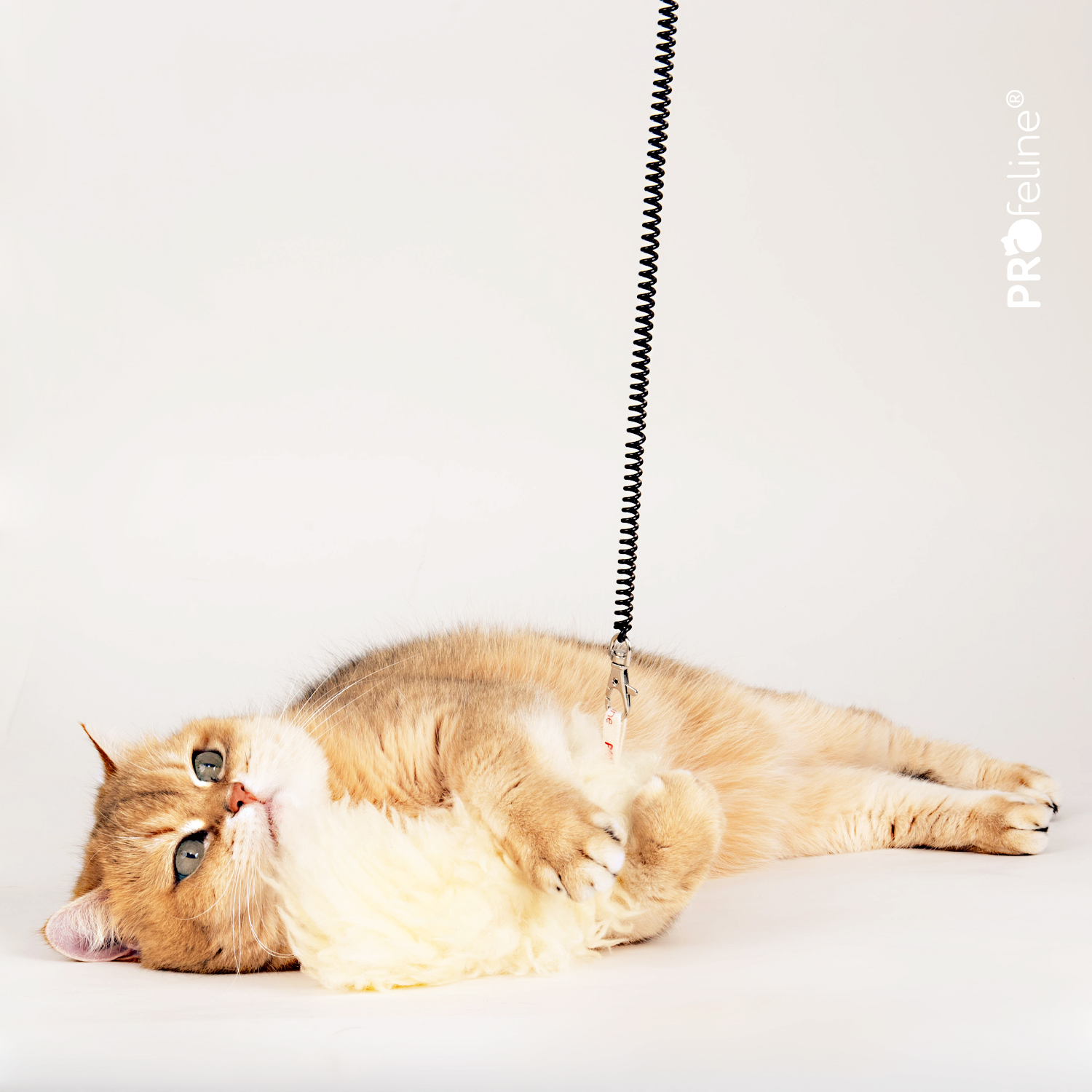 Katzenshop für Fellspielzeug