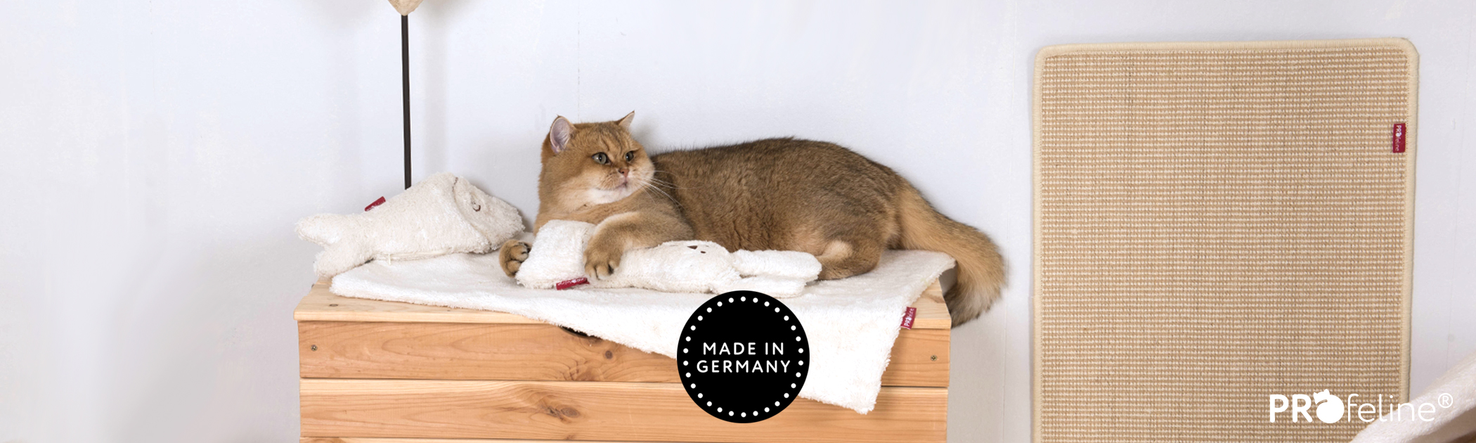 Katzen Einlagen Transport katzenspielzeug