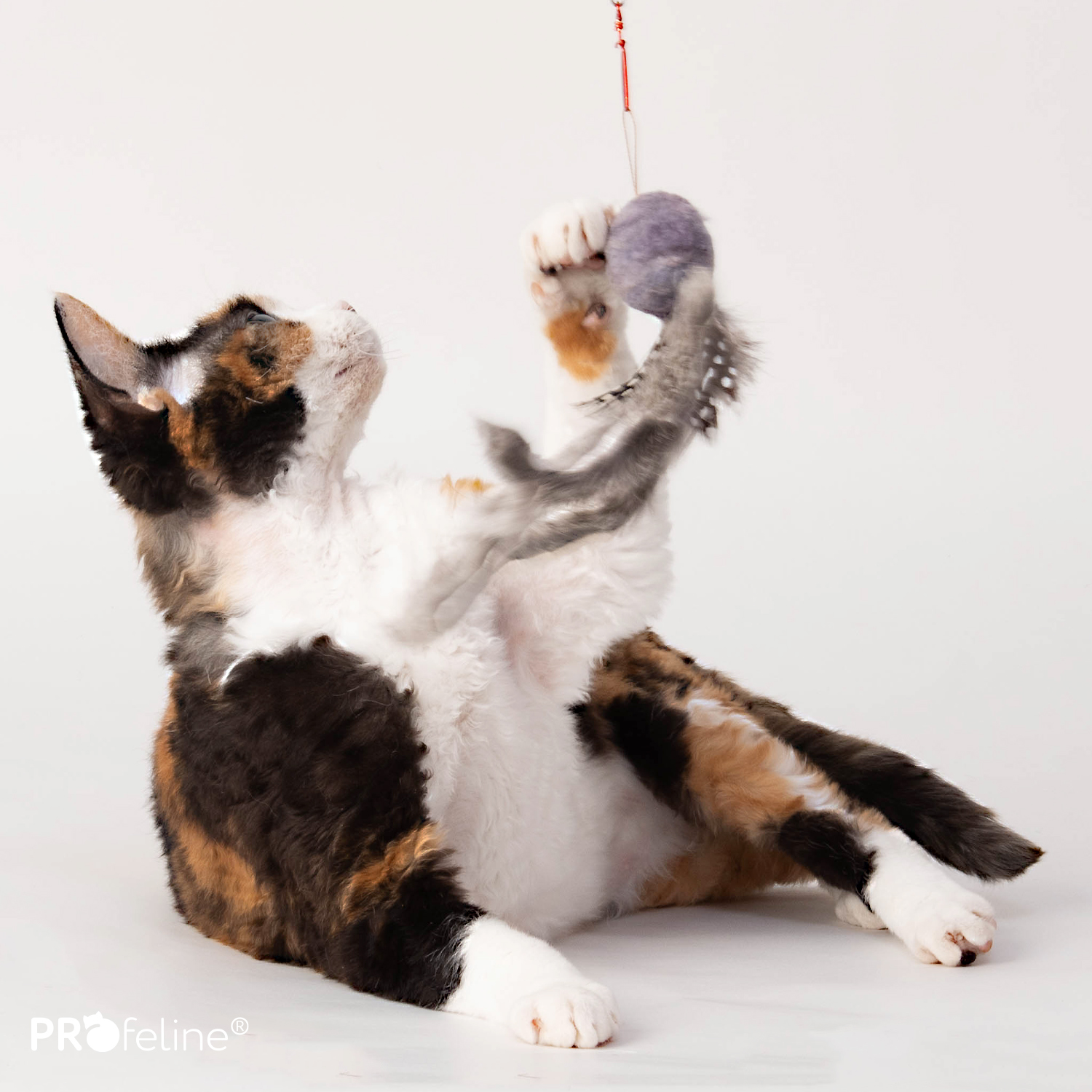 WiggleFur Refill / Anhänger Wollball mit Kaninchenstreifen für Katzenagel