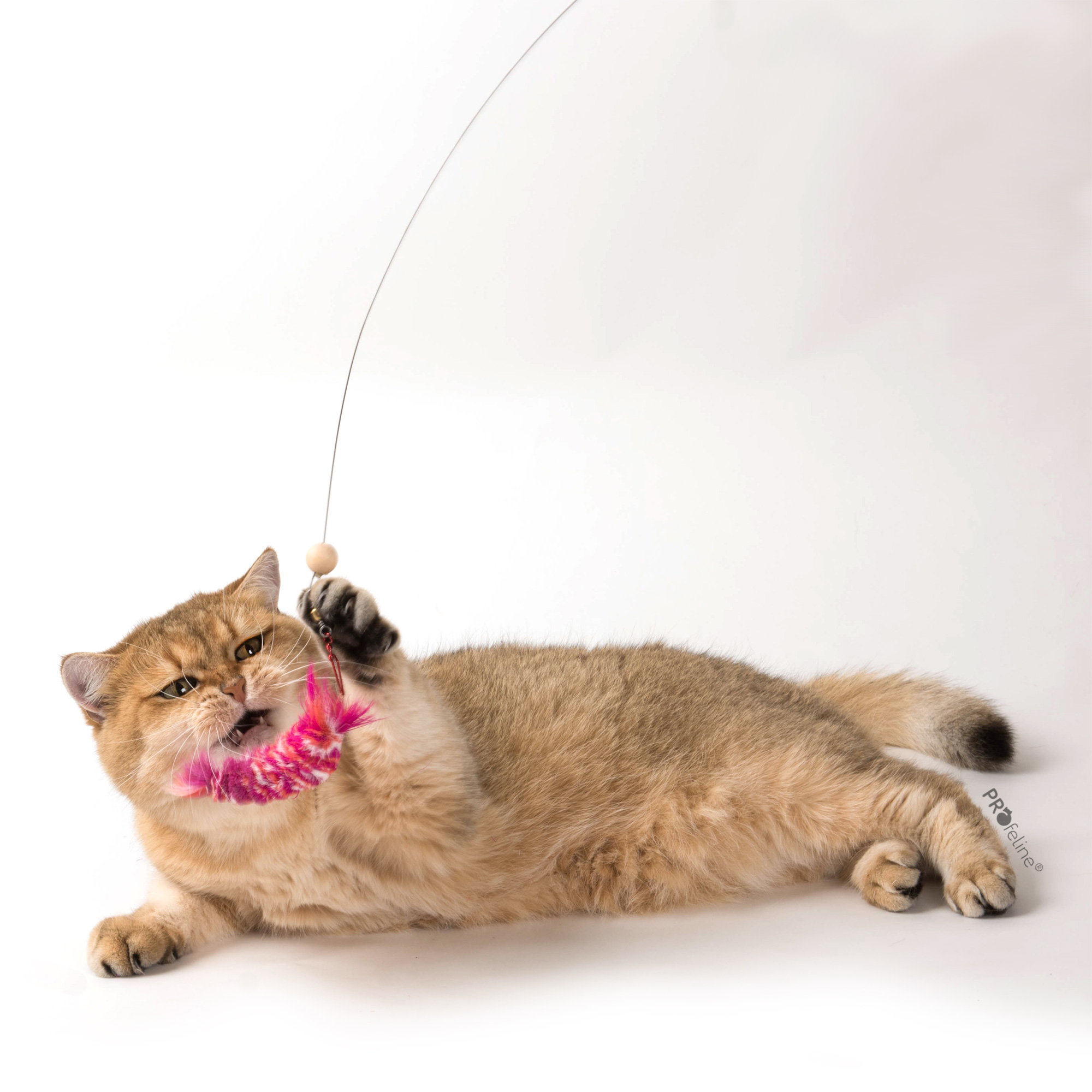 cat-toy-shrimpy-refill-cat