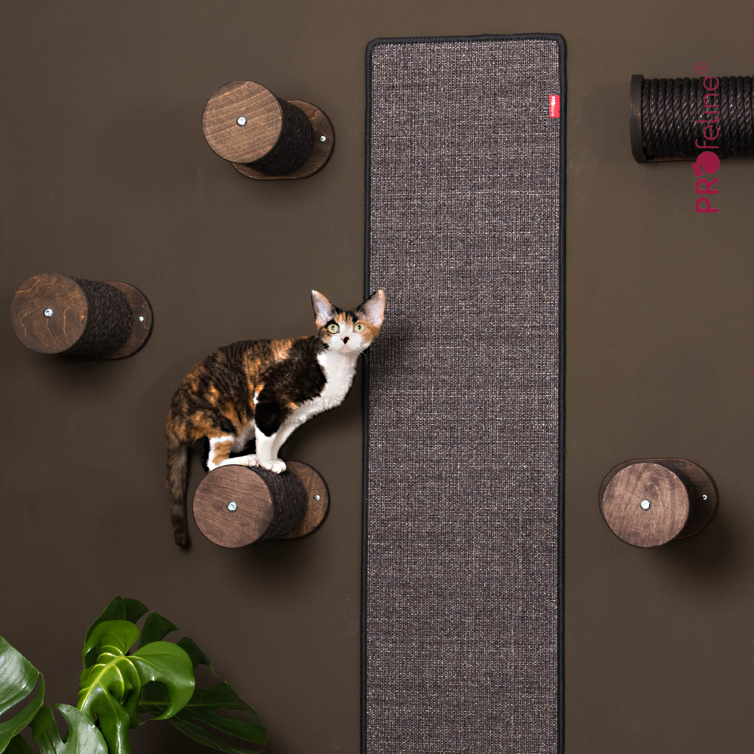 Climbing steps Katzen Wandmöbel Kletterstufe schwarz