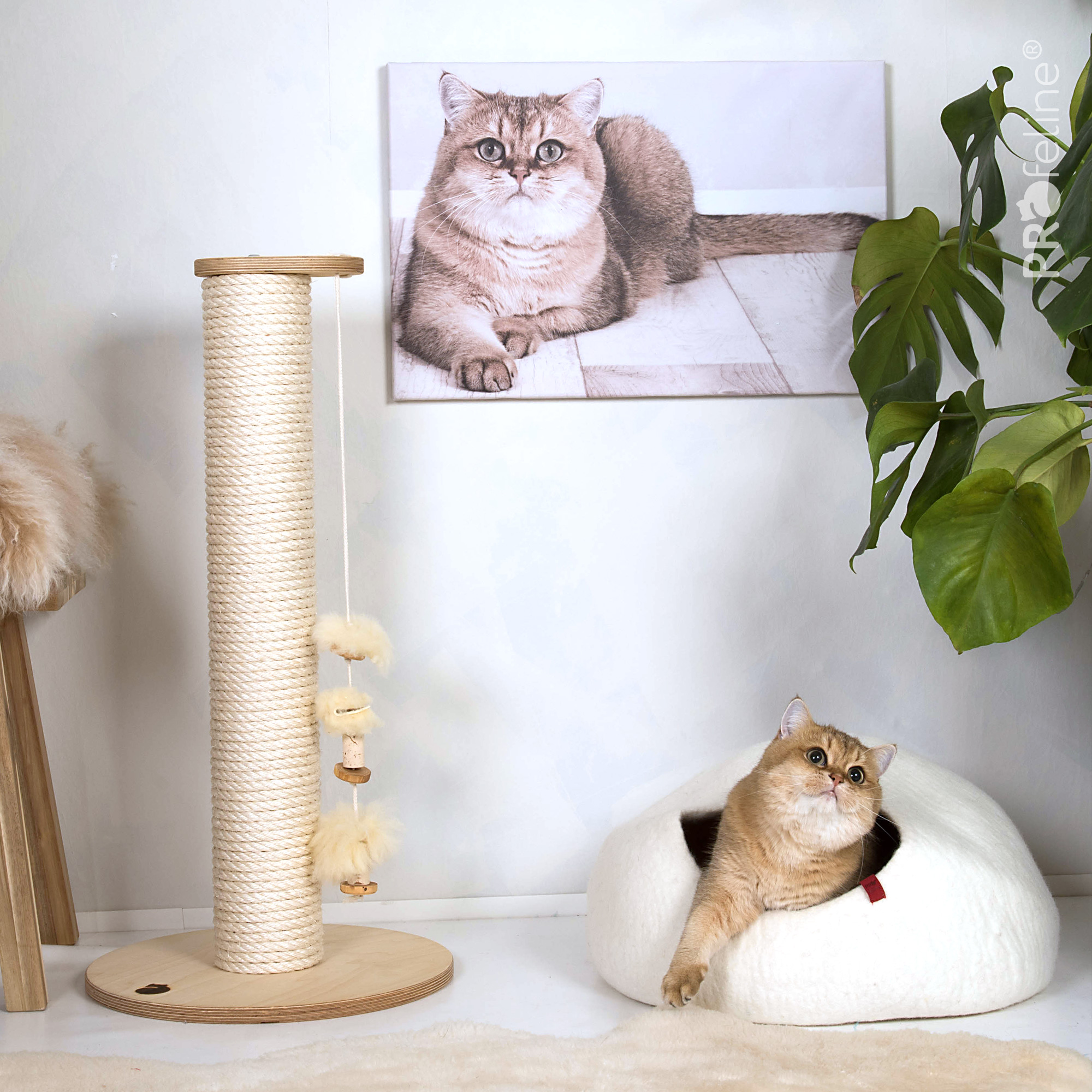 Felted Cat Cave Natural Kratzsatmm Ina mit Filzhöhle