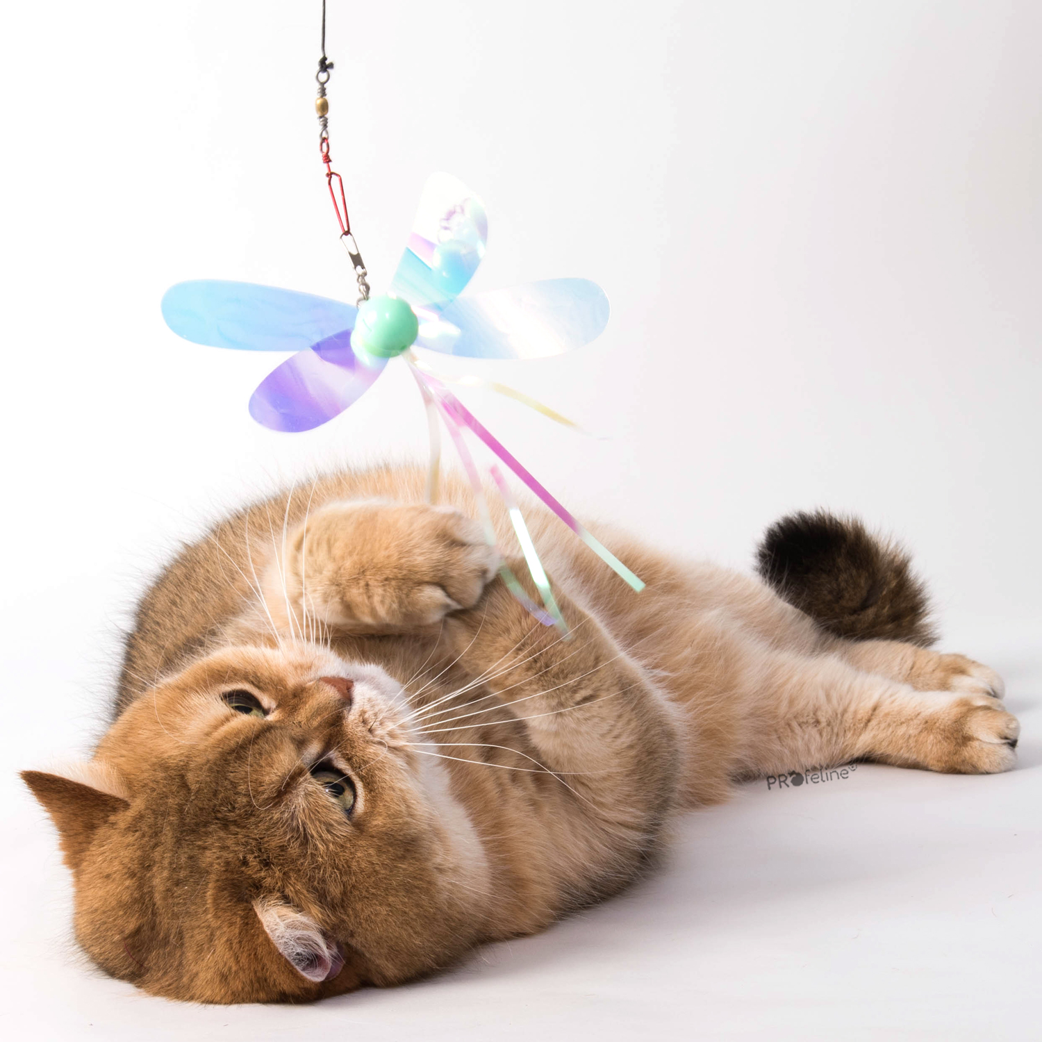 Holographic Butterflies Refill / Anhänger Holographic Schmetterling für Katzen