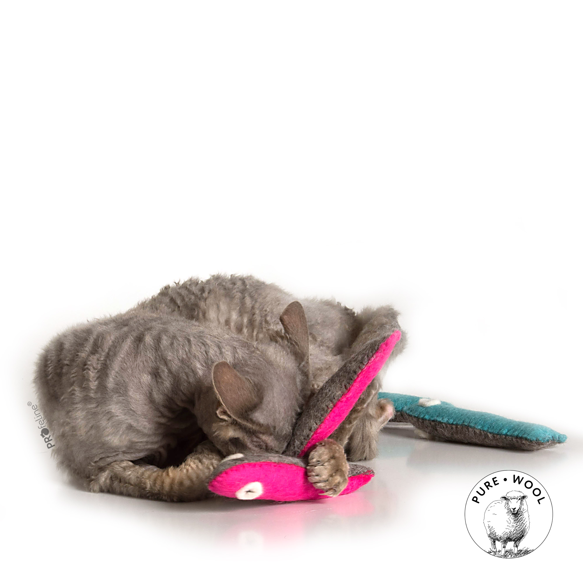 cat-toy-felted-sardine-katzenspielzeug-1 Profeline - Felted Sardine