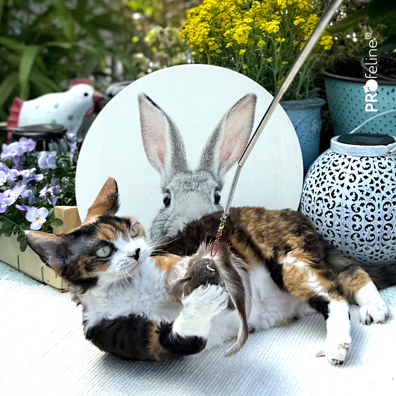 Ostergeschenke für Katzen