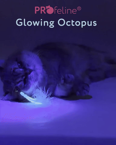 Glowing Octopus 2er Pack Refill / Anhänger