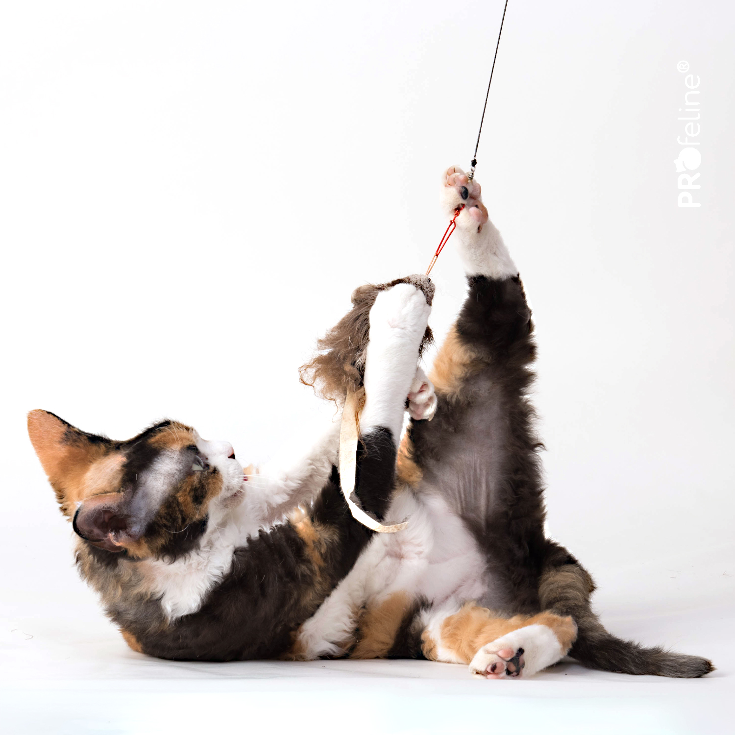 Opossum Mouse Refill / Anhänger Katzen Spielzeug Maus Opossum für Katzenangeln
