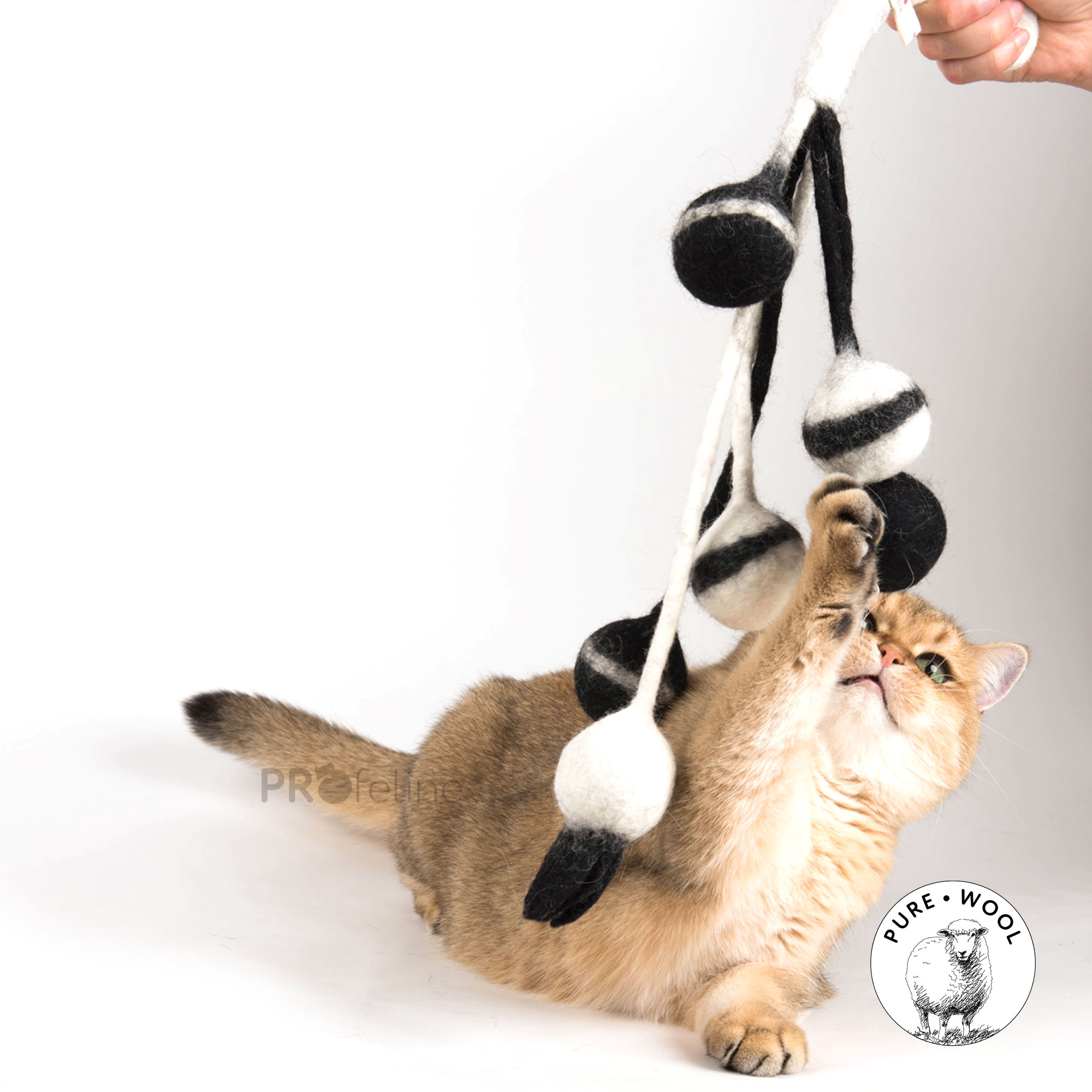 cat-toys-profeline-sw335ba-felted-catcher-2 Profeline - Felted Catcher