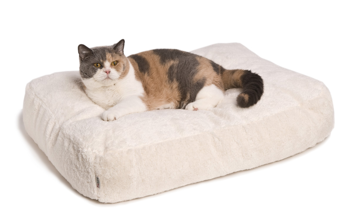 Cat Bed / Katzenbett FUTON Katzenbett Futon grosse Katzen