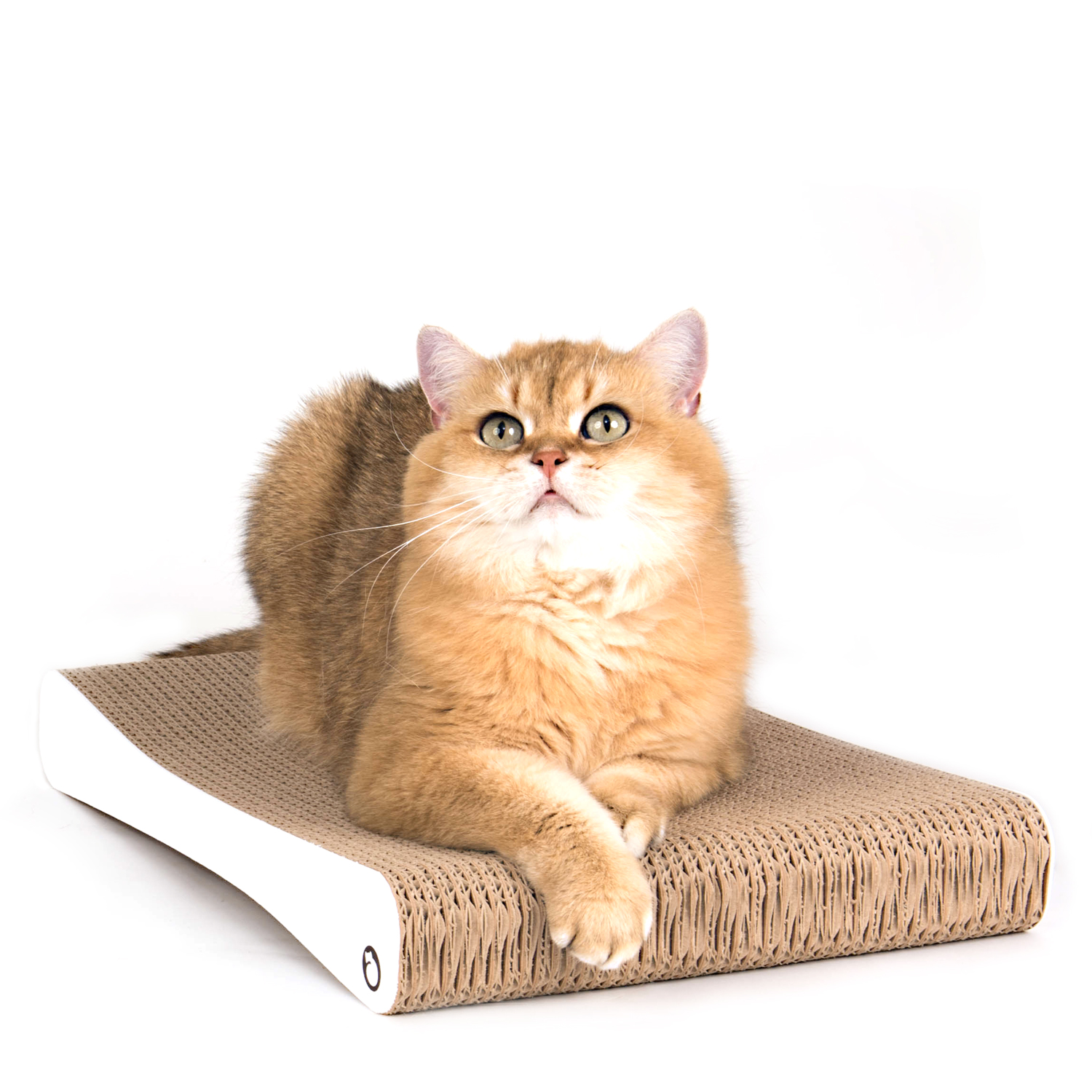 Scratching Cardboard Katida Kratzbrett für Katzen 44 cm weiss
