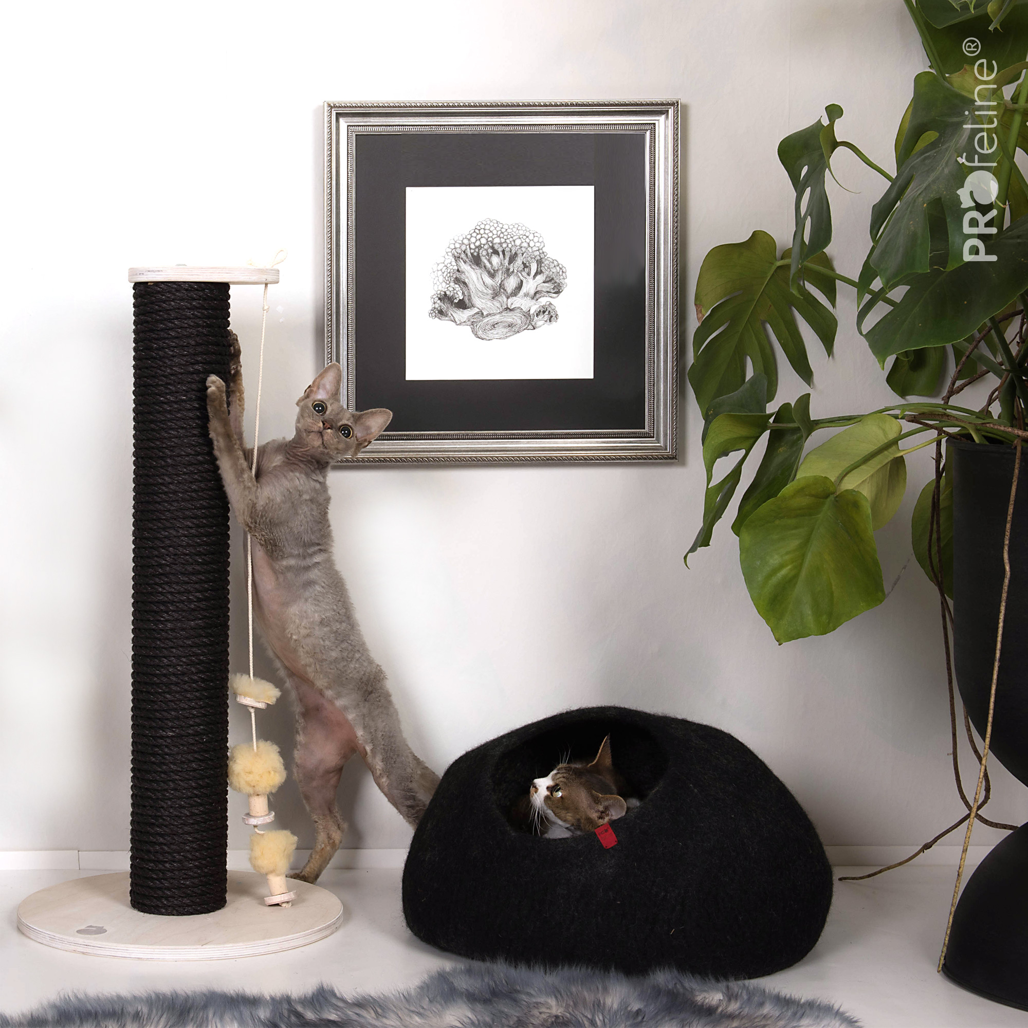 Cat Cave Woolly Black / Schwarz Kratzstamm Ina schwarz mit handgefilzter Höhle