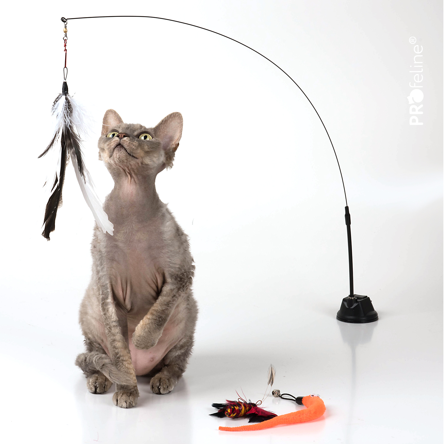 Cat Rod Risch Rod Refills | Cat Toy Attachments in Wholesale | Ersatzanhänger für ...
