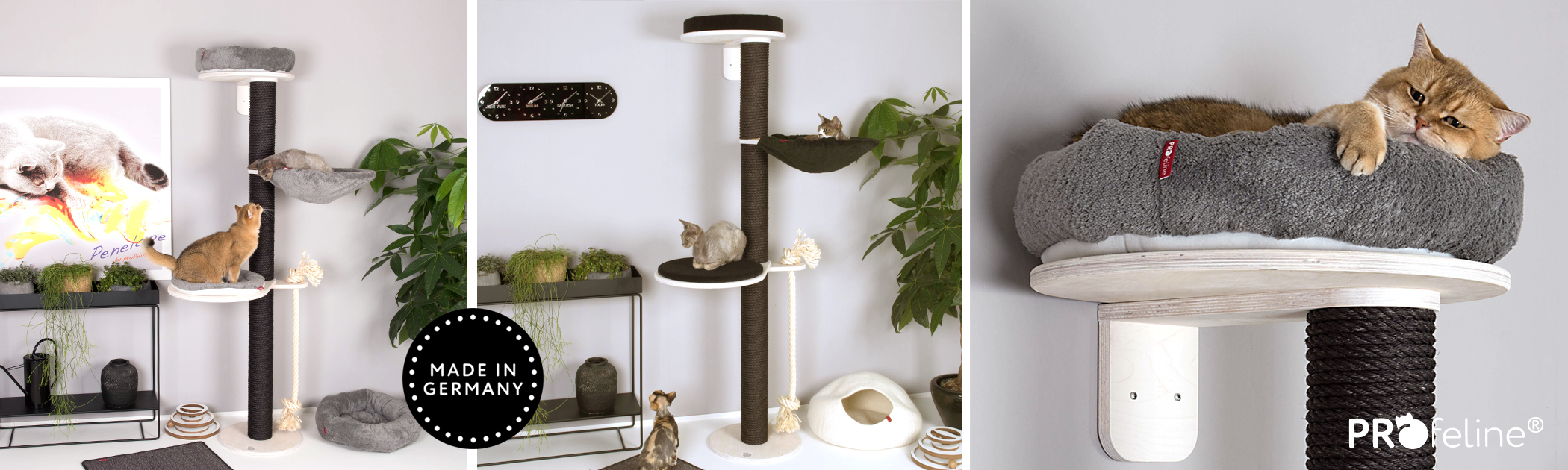 Kratzbäume schwarz, grau Wandhalterung