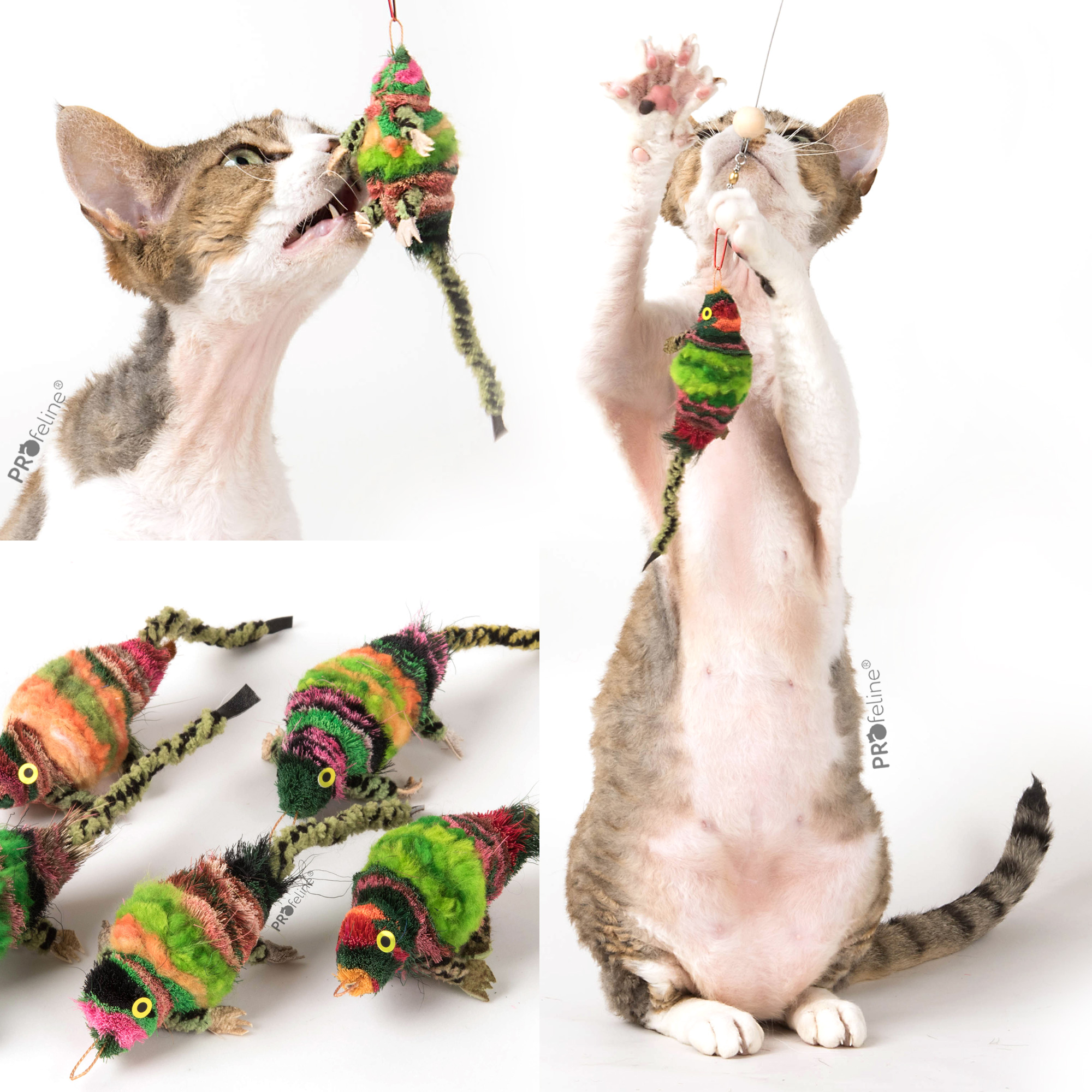 cat-toy-chameleon-SP186CH Profeline - Chameleon Attachment
