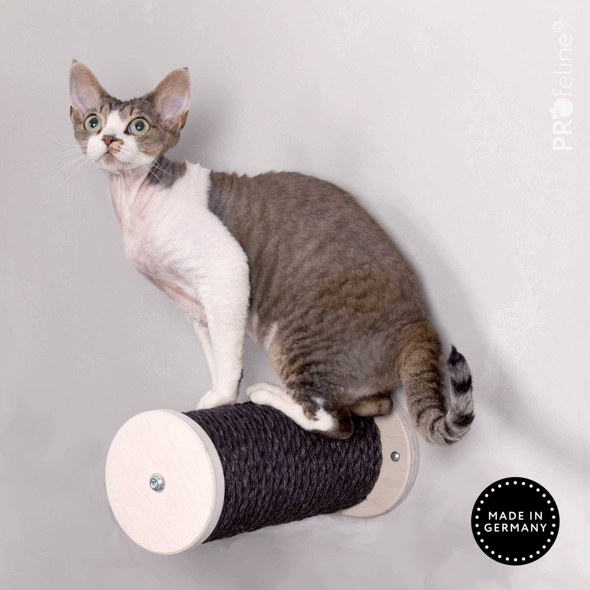 Climbing steps Sample