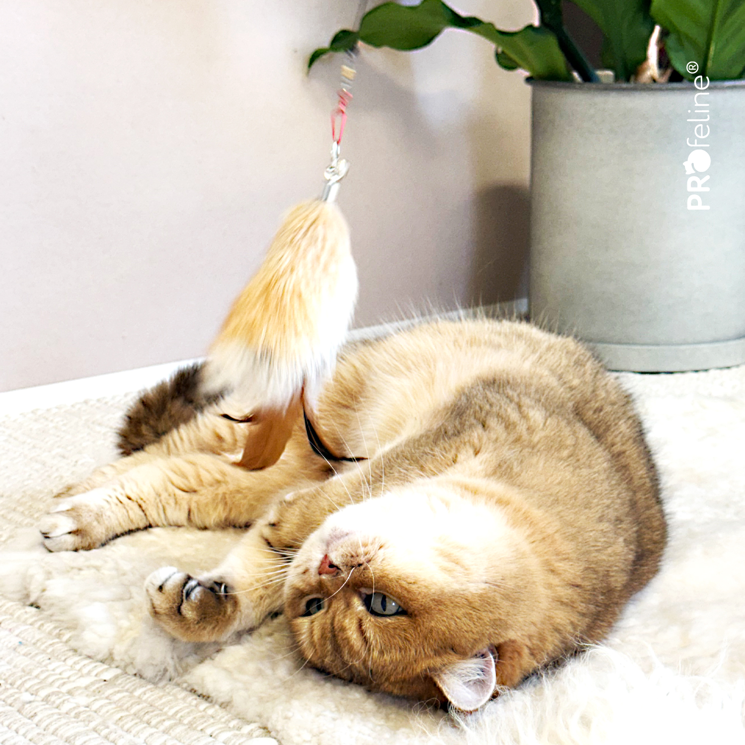 Fluffy Nub Refill / Anhänger Katzenshop Fellanhaenger mit Federn