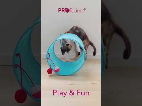 Cat Fun Tunnel Blue