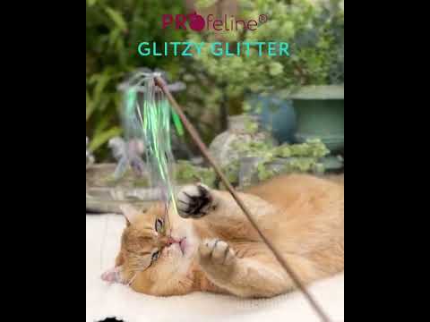 Cat Teaser Glitzy Glitter / Katzen Federstab