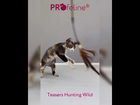 Profeline - Federwedel / Teaser Hunting Wild
