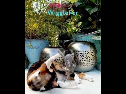 WiggleFur Refill / Anhänger WiggleFur Refill / Anhänger