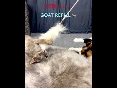 Goatskin Refill / Anhänger