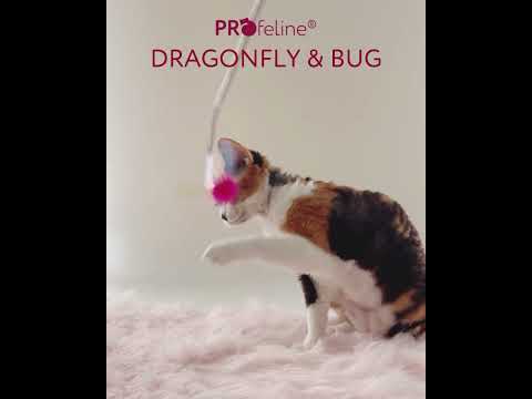 Dragonfly & Bug Refill / Anhänger