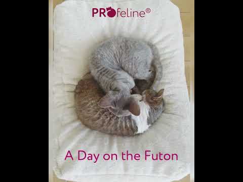 Cat Bed / Katzenbett FUTON