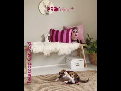 Profeline - Telescopic Cat Rod / Teleskop Katzenangel