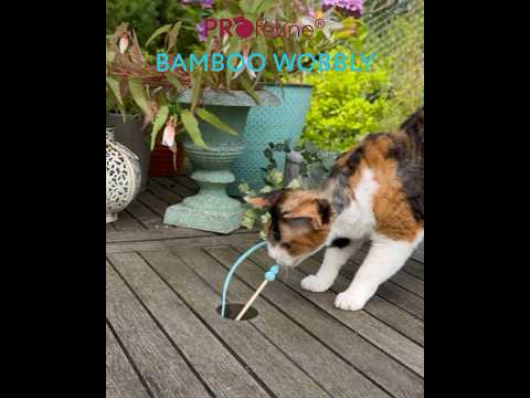 Cat Teaser Bamboo Wobbly