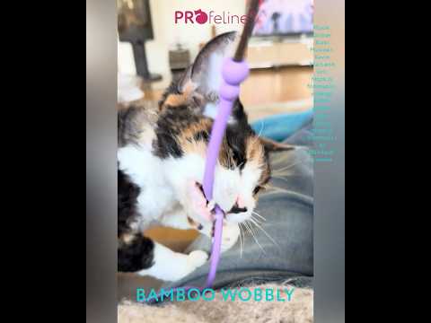 Cat Teaser Bamboo Wobbly