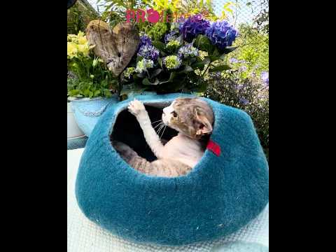 Cat Cave Woolly Blue