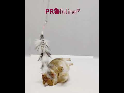 Profeline - Ostrich Refill / Anhänger
